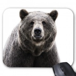 Tapis de souris personnalisÃ© ours   