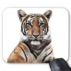 Tapis de souris personnalisÃ© tigre   