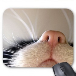 Tapis de souris personnalisÃ© chat 