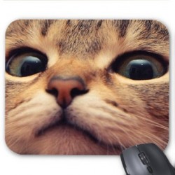 Tapis de souris personnalisÃ© chat 