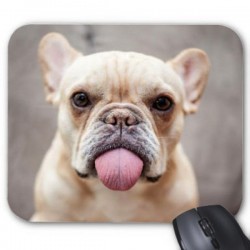 Tapis de souris chien 