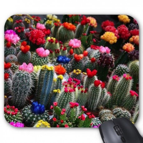 Tapis de souris Cactus  