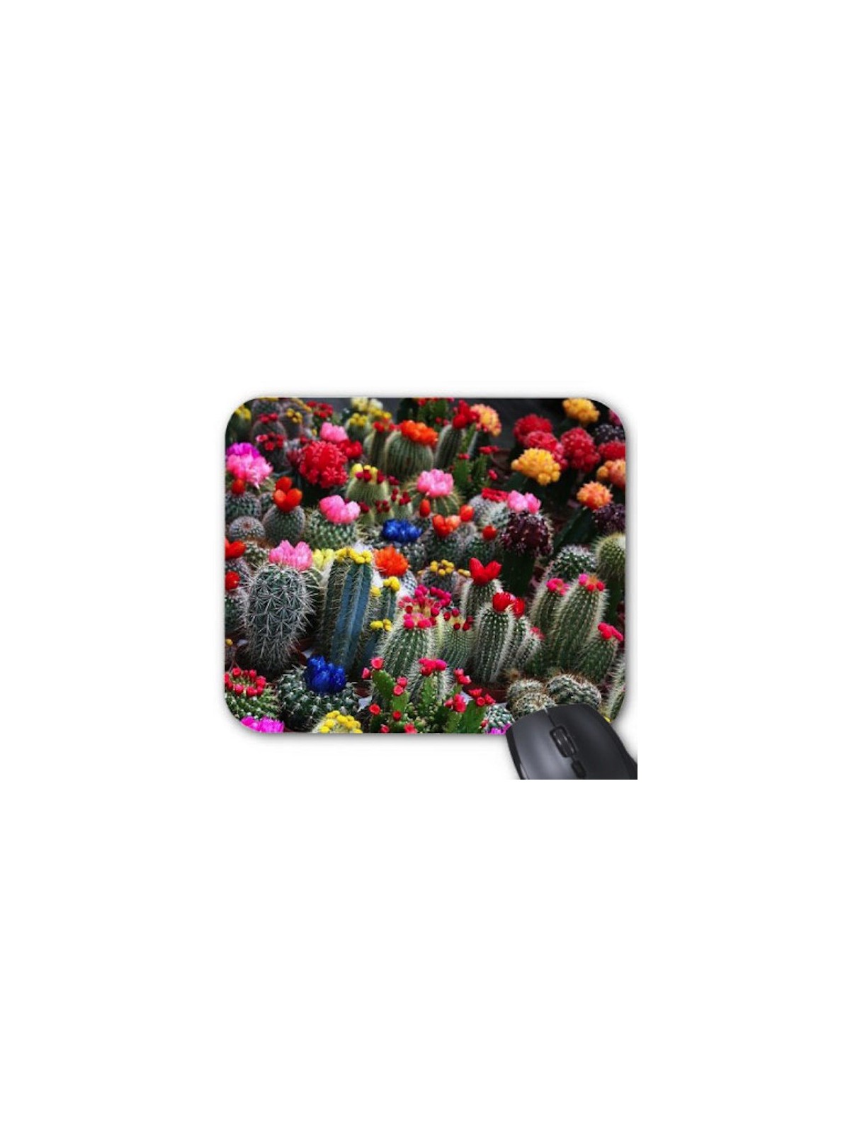 Tapis de souris Cactus  