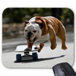 Tapis de souris chien skateboard   