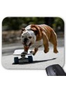 Tapis de souris chien skateboard   