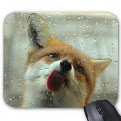 Tapis de souris renard 