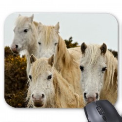 Tapis de souris cheval ref 2510