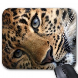 Tapis de souris panthÃ¨re ef 2540