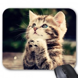 Tapis de souris chat ref 2574