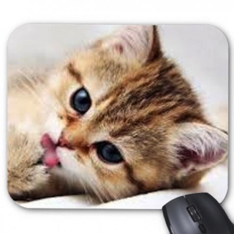 Tapis de souris chat ref 2579