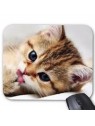 Tapis de souris chat ref 2579