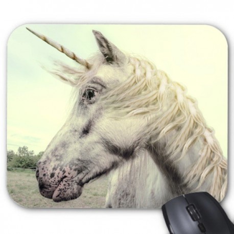 Tapis de souris cheval ref 2669