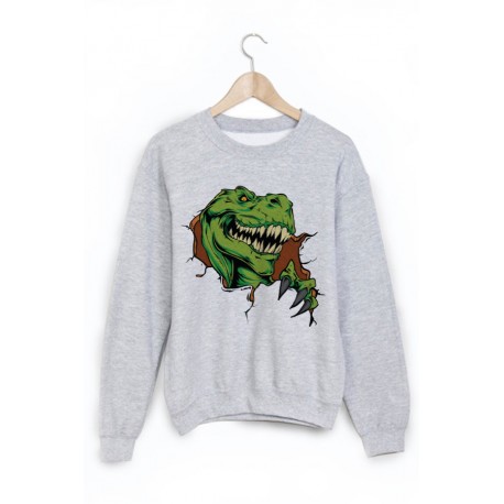 Sweat-Shirt imprimÃ© dinosaure