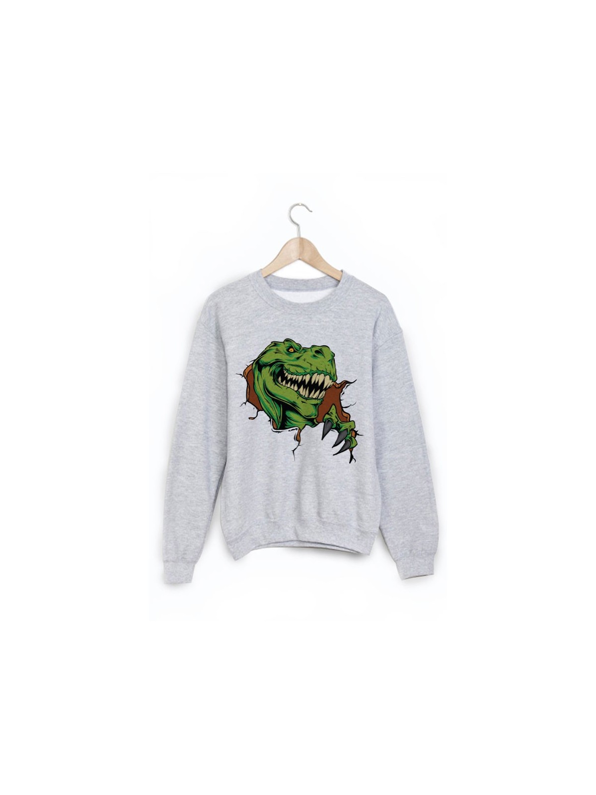 Sweat-Shirt imprimÃ© dinosaure