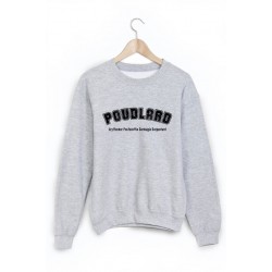 Sweat-Shirt imprimÃ© poudlard