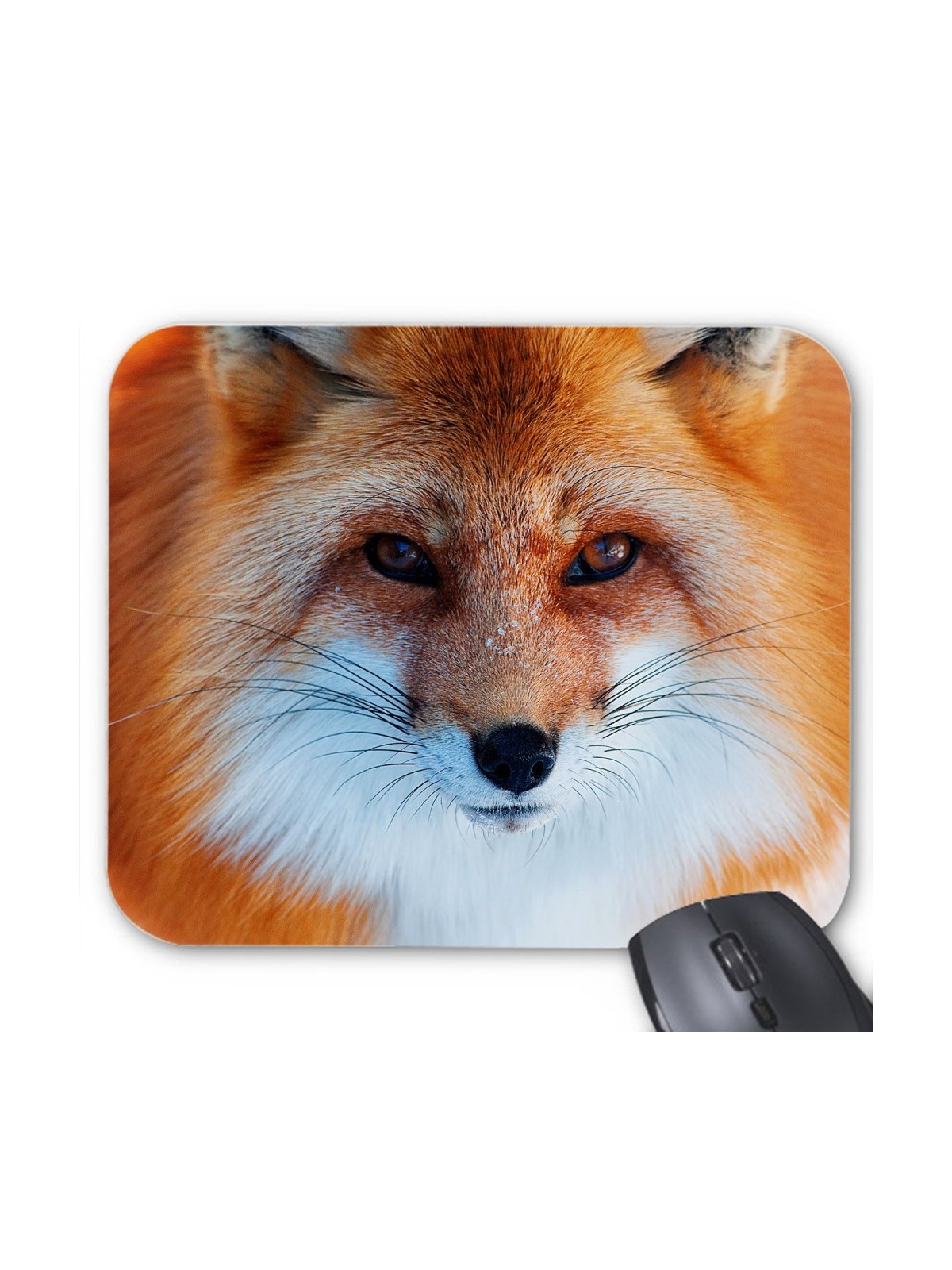 Tapis de souris RENARD