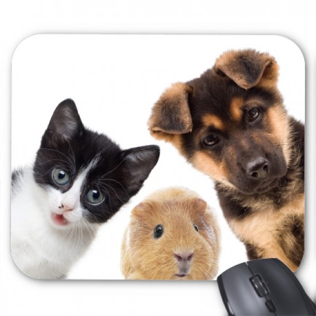 Tapis de souris animaux 