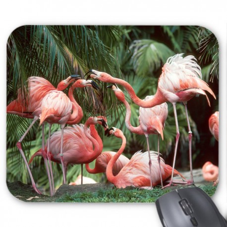 Tapis de souris flamant rose