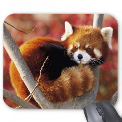 Tapis de souris panda roux