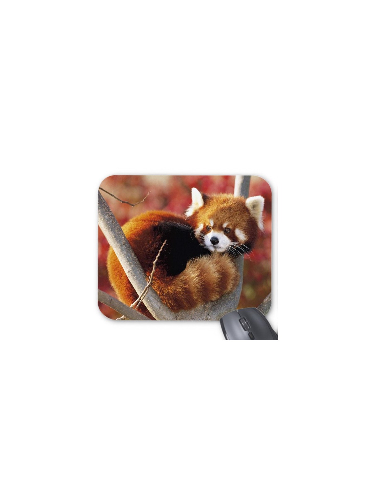 Tapis de souris panda roux