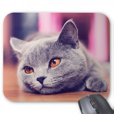 Tapis de souris chat 