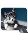 Tapis de souris chat 