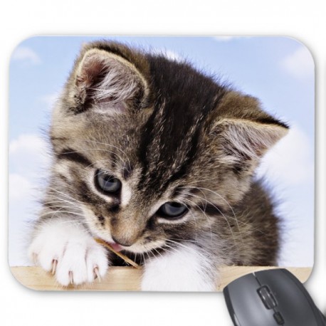 Tapis de souris chat 