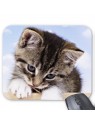 Tapis de souris chat 