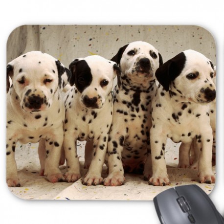 Tapis de souris chien dalmatien