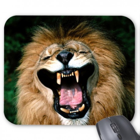 Tapis de souris lion humour 