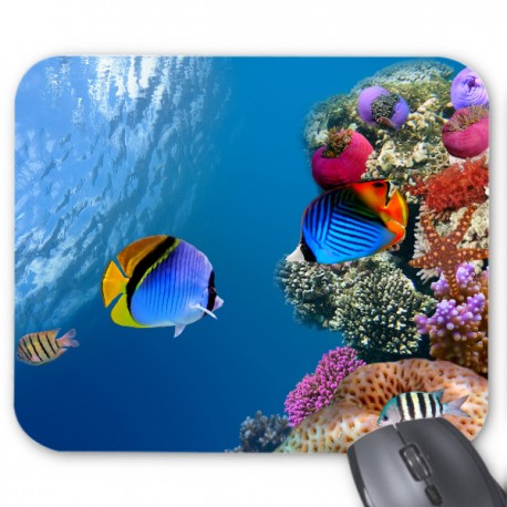 Tapis de souris poisson