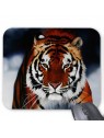 Tapis de souris tigre