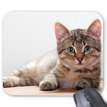 Tapis de souris chaton 