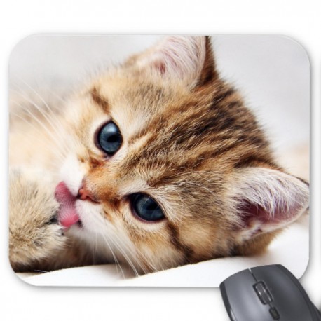 Tapis de souris chaton  