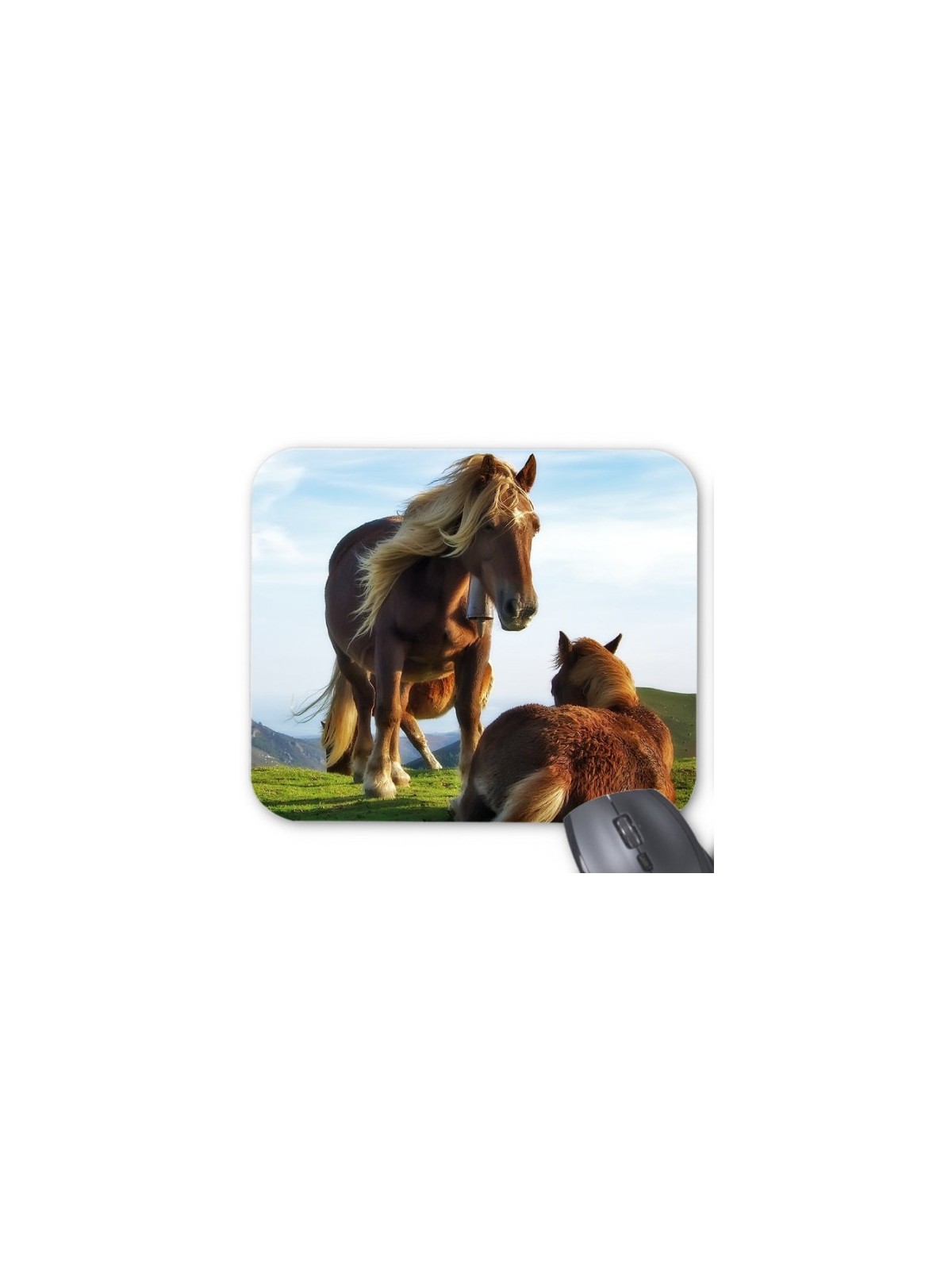 Tapis de souris cheval 