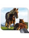 Tapis de souris cheval 