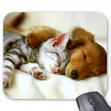 Tapis de souris chien chat