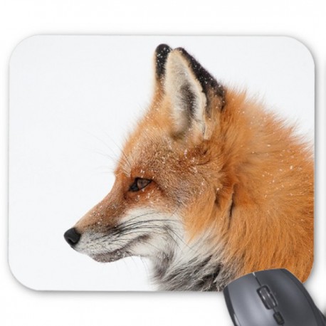 Tapis de souris renard 2881