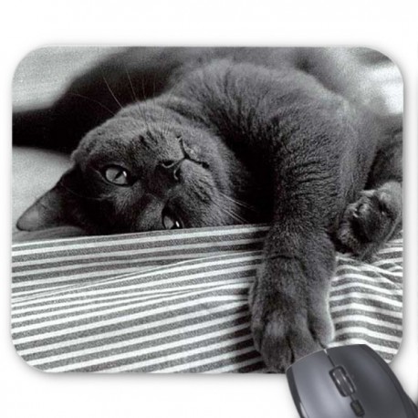 Tapis de souris chat gris 