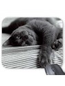 Tapis de souris chat gris 