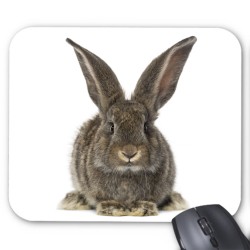 Tapis de souris lapin