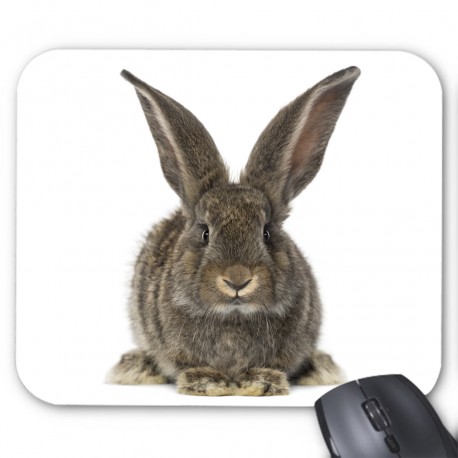 Tapis de souris lapin