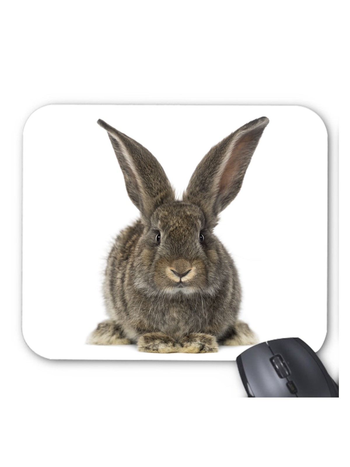 Tapis de souris lapin