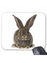 Tapis de souris lapin