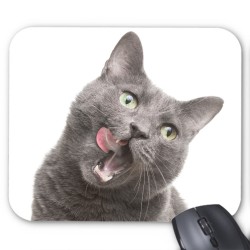 Tapis de souris chat gris