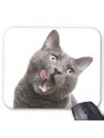 Tapis de souris chat gris