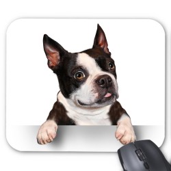 Tapis de souris chien