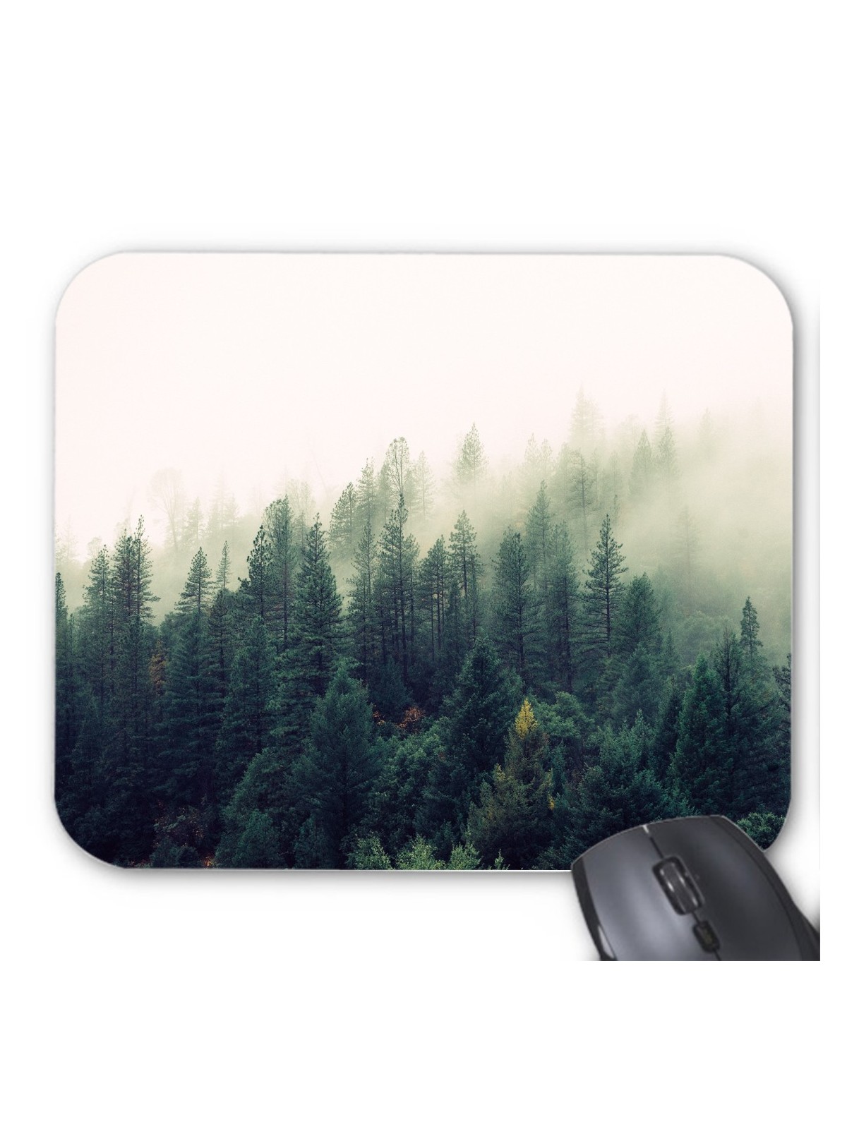 Tapis de souris foret