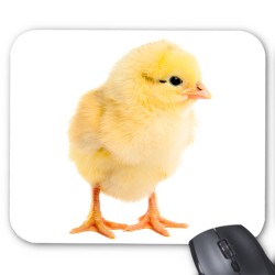 Tapis de souris poussin