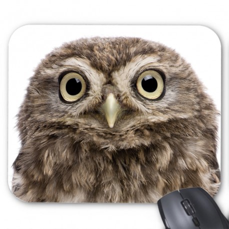 Tapis de souris hibou